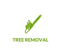 TREE REMOVAL