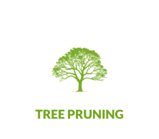 TREE PRUNING