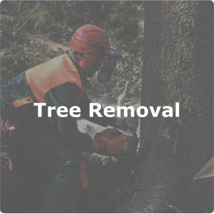 Tree Removal