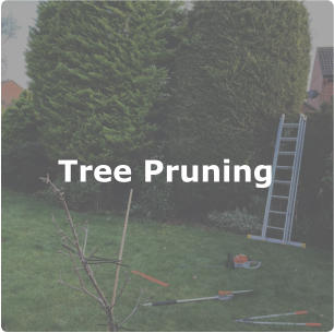 Tree Pruning