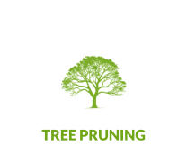 TREE PRUNING