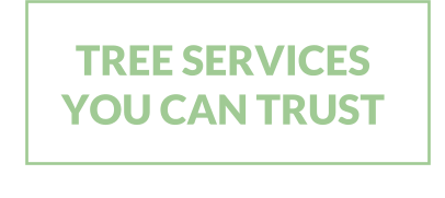 TREE SERVICES YOU CAN TRUST
