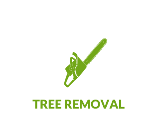 TREE REMOVAL