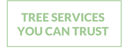 TREE SERVICES YOU CAN TRUST