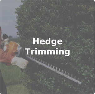 Hedge Trimming